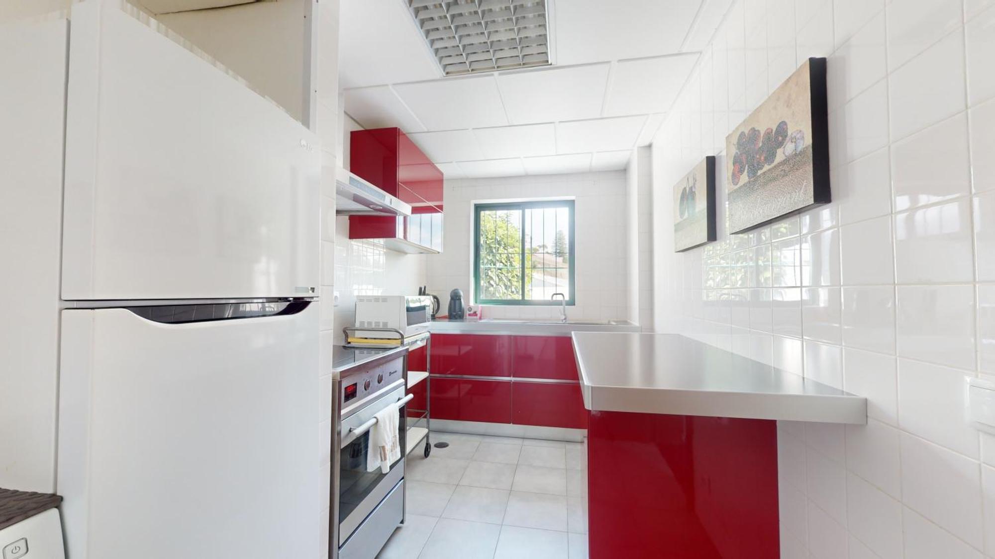 Azores Pedra Apartments - T0 E T1 Ponta Delgada Zewnętrze zdjęcie