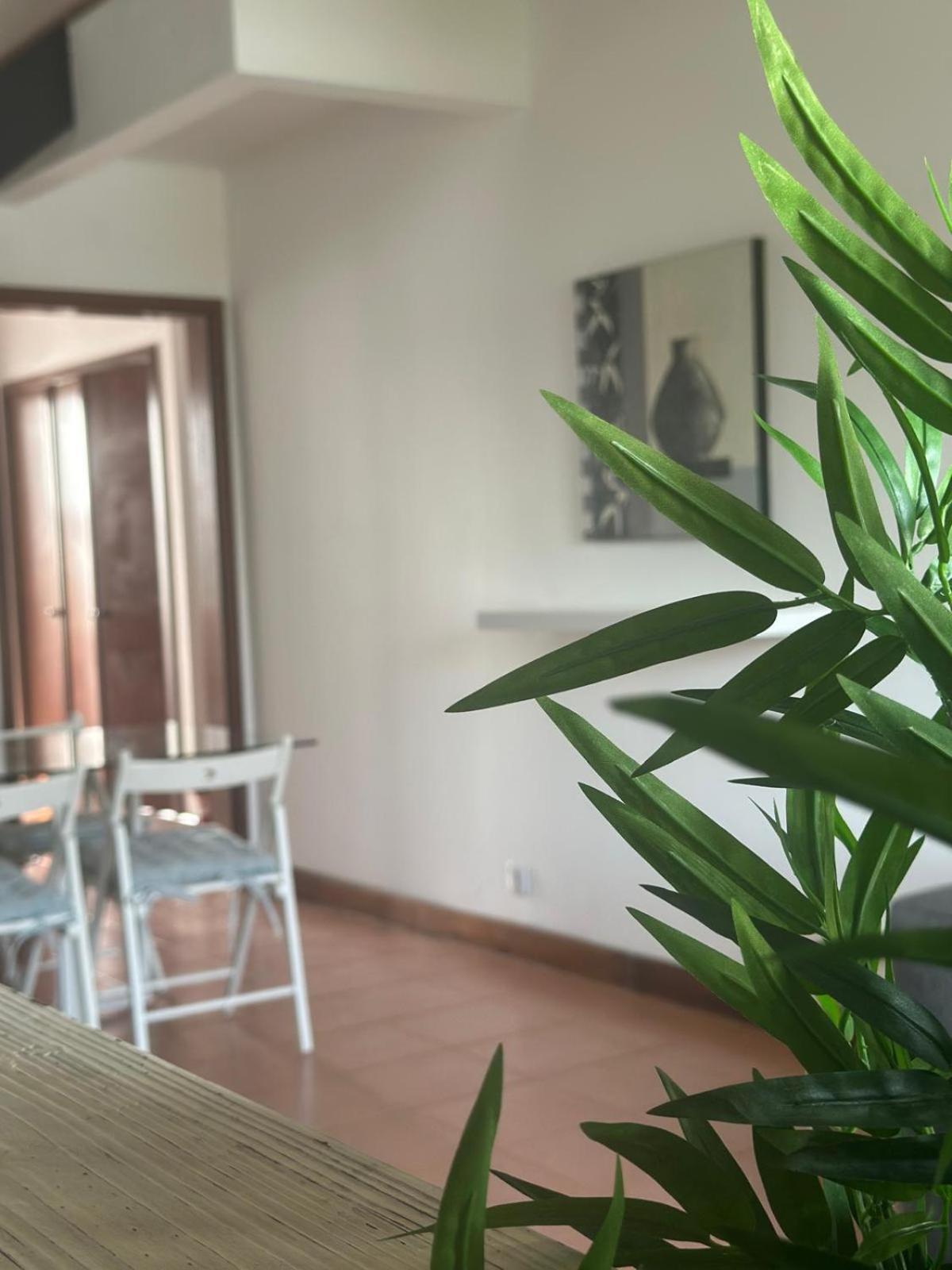 Azores Pedra Apartments - T0 E T1 Ponta Delgada Zewnętrze zdjęcie