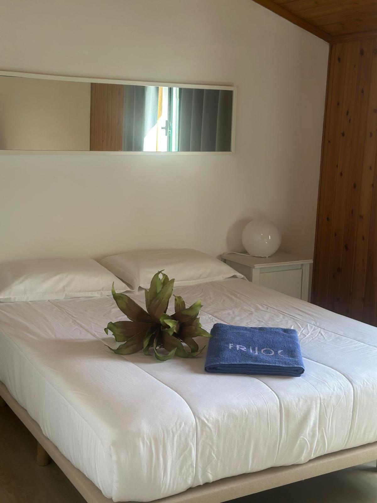 Azores Pedra Apartments - T0 E T1 Ponta Delgada Zewnętrze zdjęcie